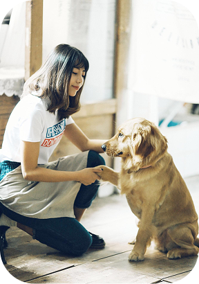 Equipe apaixonada por pets - Monitores e cuidadores dedicados