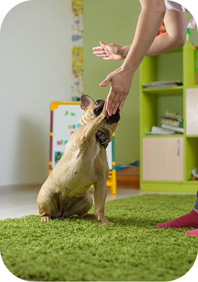 Infraestrutura completa - Áreas internas climatizadas e espaço ao ar livre